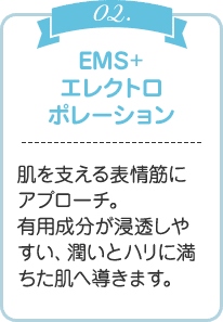 EMS＋エレクトロポレーション